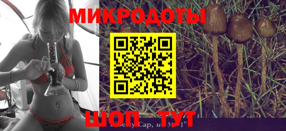 Псилоцибиновые грибы Magic Shrooms Губкин