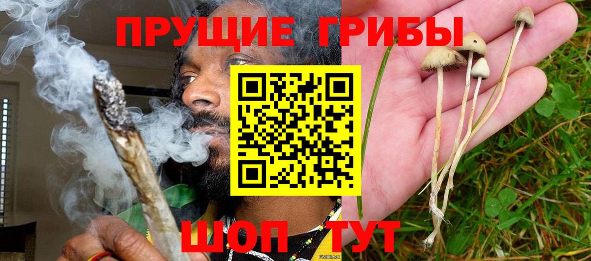 Губкин  Галлюциногенные грибы прущие грибы  Вход с VPN  Галлюциногенные грибы GOLDEN TEACHER 